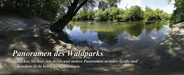 waldpark_panorama